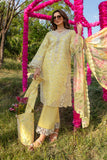 Raya Rang Rasiya Brand Original Fabrics