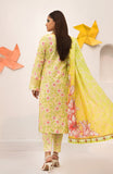 Al Zohaib CPC-24-03 COCO Popup Digital Printed 2024