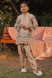 Sara - Girl Ansab Jahangir Brand Original Fabrics