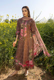 Sapphire 2 Piece - Printed Lawn Suit 2D-DY23V1 Spring Summer Lawn Vol 1