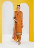 Nureh NL-56 Anari Jhoomro Chiffon Luxe Collection